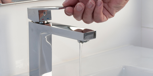 How To Save Water in the Bathroom